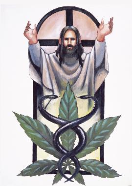 marihuana_kills.jpg